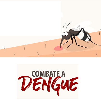 Paraná confirma 12 novos óbitos por dengue no estado