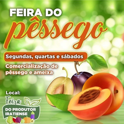 Imagem da Notícia